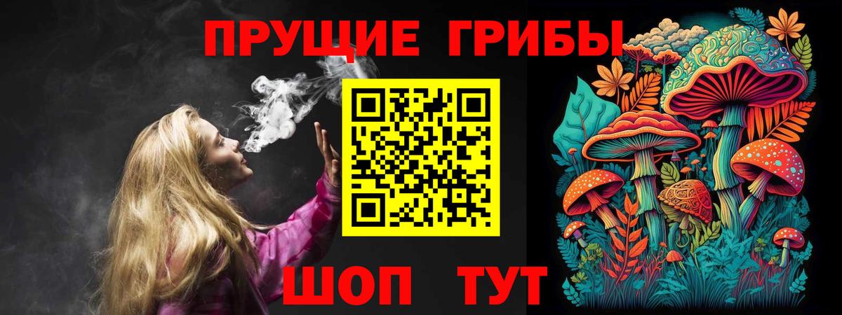 Галлюциногенные грибы GOLDEN TEACHER Кашира