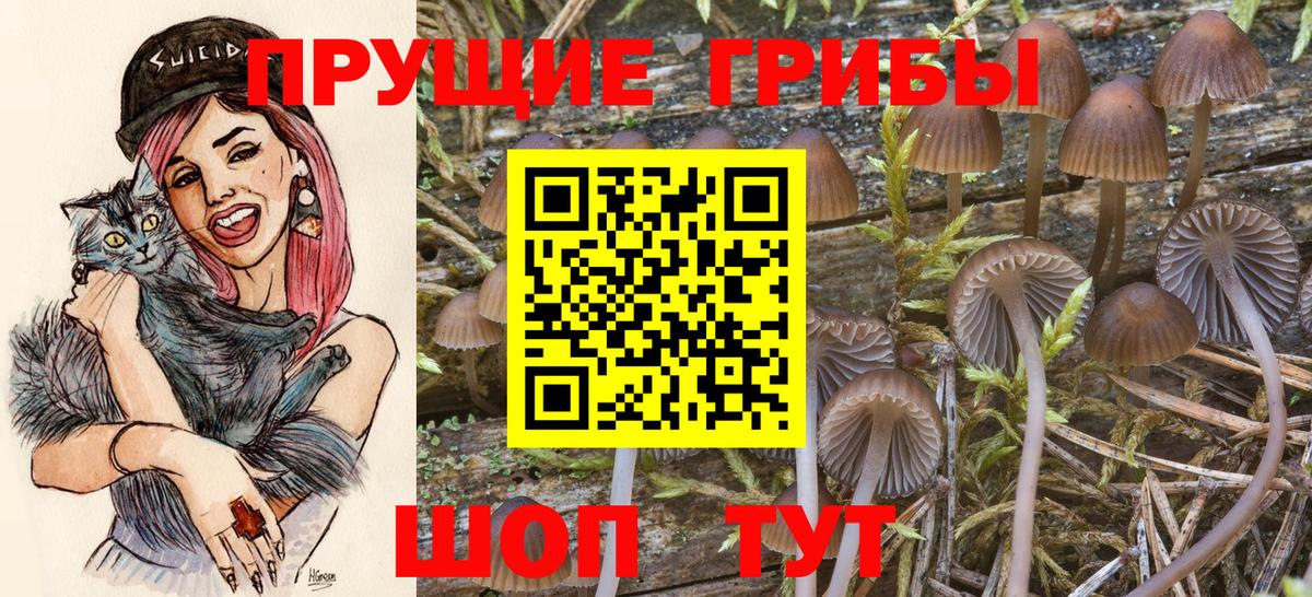 Псилоцибиновые грибы прущие грибы  Вход с VPN  Кашира 